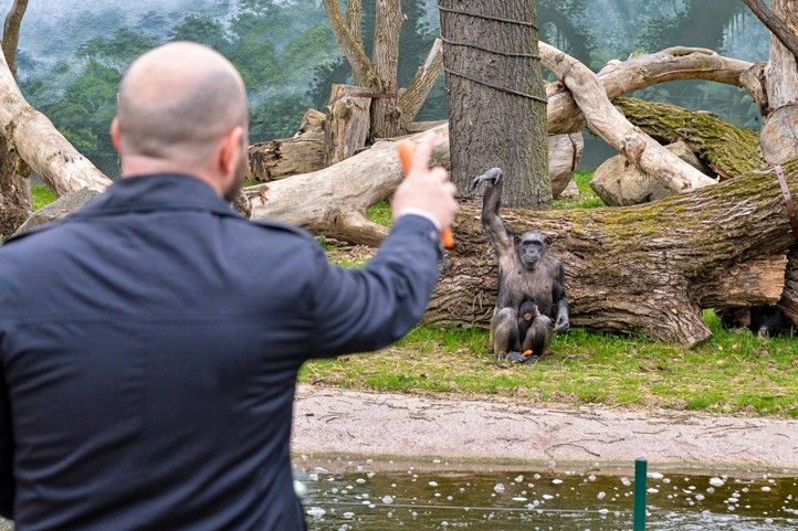 240328_Krtiny_simpanz_3