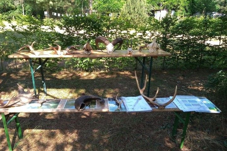 240605_vikend_otevrenych_zahrad_04