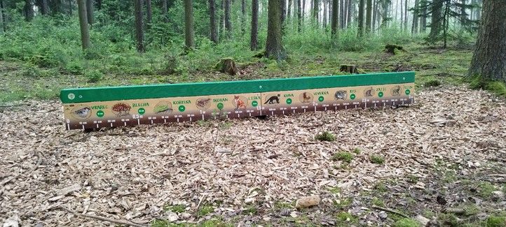 240613_Stezka_po_stopach_zvere_2