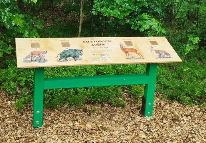 240613_Stezka_po_stopach_zvere_3