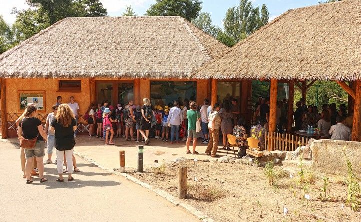 Fotografie: H. Josefová a K. Misíková 240626_Guereza_Zoo_Misikova_5