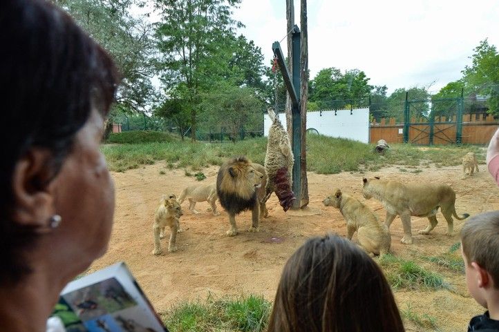 240702_Zoo_Tamika_lev_2