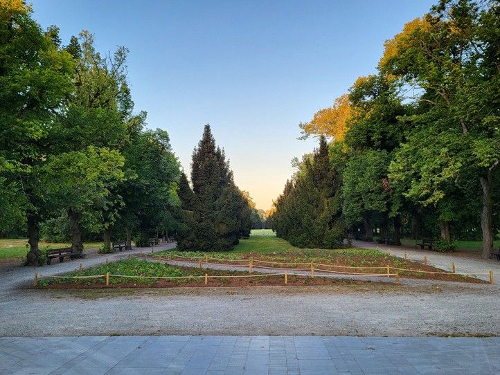 Zdroj fotografií: Správa veřejného statku města Plzně 240815_Trvalky_kvetiny_3