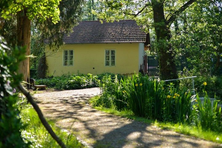 Před bouráním stavby (fotografie: M. Pecuch) 240829_Luftova_zahrada_4