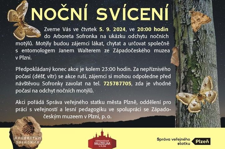 Sofronka zve na noční motýly. Foto: Jan Walter 240903_motyly_sofronka_plakatek
