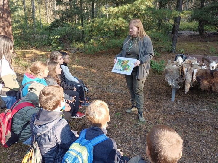 Zdroj fotografií: Správa veřejného statku města Plzně 240924_Den_lesa_1