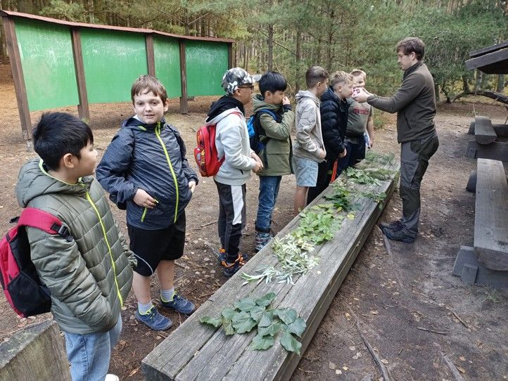 Zdroj fotografií: Správa veřejného statku města Plzně 240924_Den_lesa_2