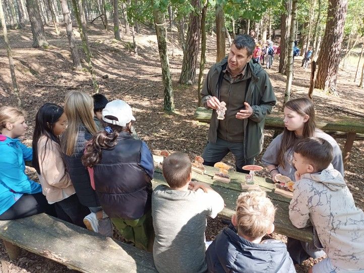 Zdroj fotografií: Správa veřejného statku města Plzně 240924_Den_lesa_3