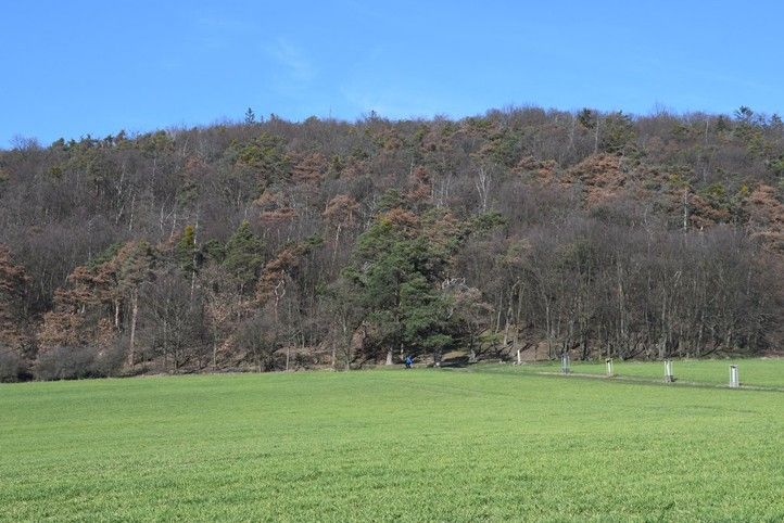 Foto: R. Žáková 241018_Chlum_Zakova