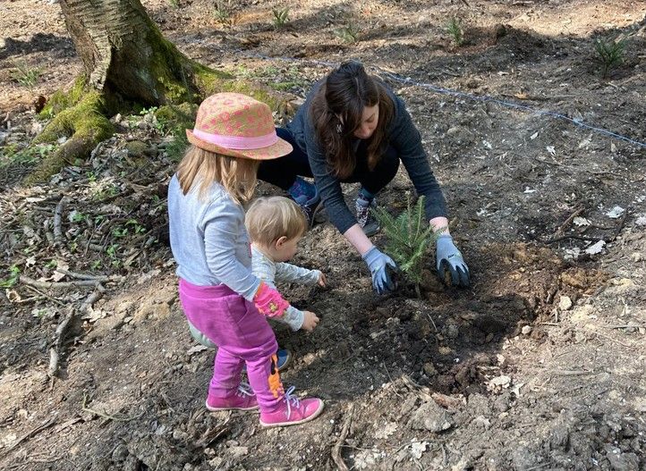Zdroj fotografií: Správa veřejného statku města Plzně 241023_Den_lesa_3