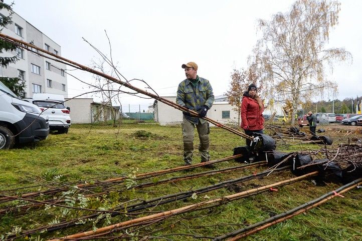 241118_Dreviny_stromy_2