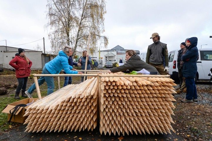 Fotografie: M. Pecuch 241118_Dreviny_stromy_4