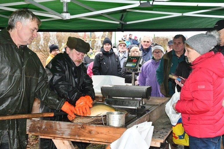 U Košináře začal prodej ryb na štědrovečerní stůl. Fotografie: R. Žáková 241219_prodej_ryb_01