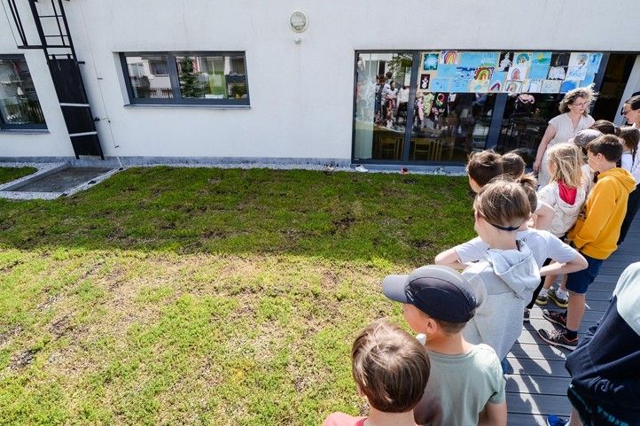 Zelená střecha na škole v Černicích (ilustrační fotografie) 250210_Zelena_strecha_MS_1