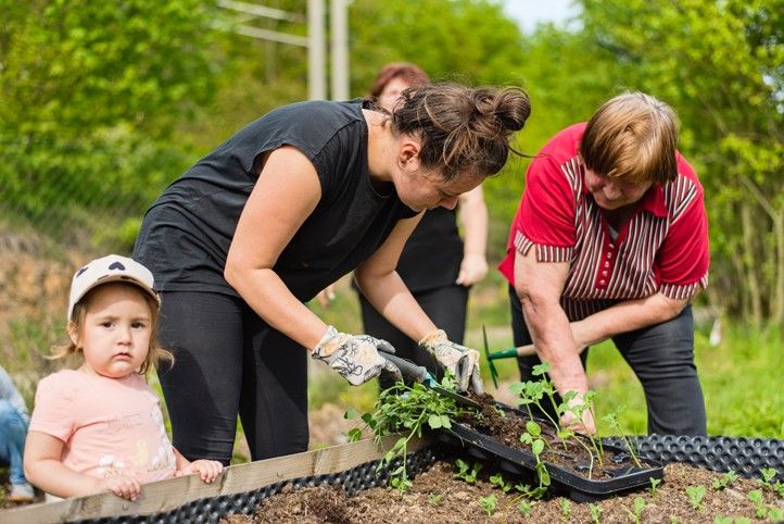Zdroj fotografií: Totem 250213_Dobrovolnicvi_socialni_sluzby_3