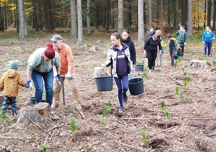 Zdroj fotografií: Správa veřejného statku města Plzně 250404_Den_pro_les_2