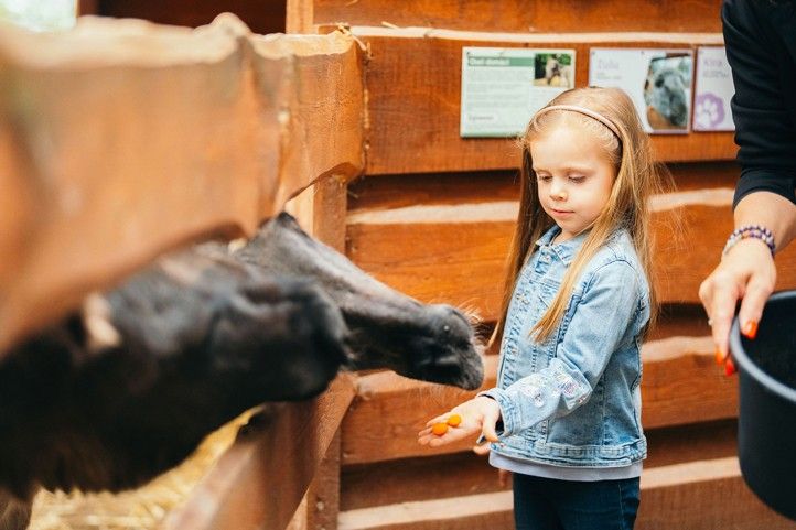 Zdroj fotografií: Visit Plzeň 250408_Visit_Plzen_Turismus_1