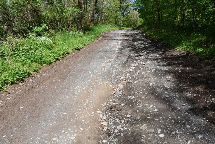 Cesta na Dubové hoře - současný stav (fotografie: R. Žáková) 250505_Cesta_Dub_Hora_Puvodni