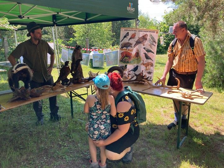 Ilustrační foto (zdroj: Správa veřejného statku města Plzně) 250523_Plzen_zahrady_3