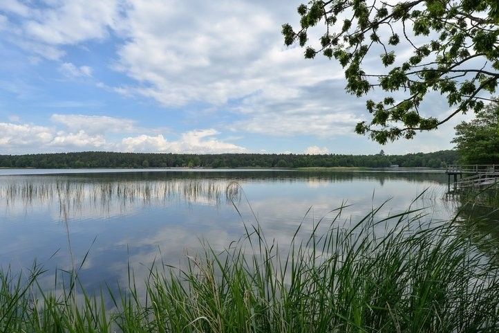 Velký bolevecký rybník. Fotografie: M. Pecuch 250605_bolevak_sezona_04