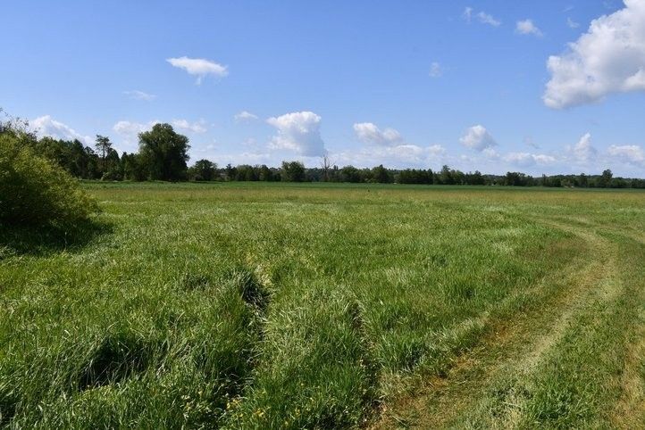 Začíná stavba úseku greenway z Malesic do Města Touškova. Fotografie: M. Klas  250605_cyklostezka_mze_01