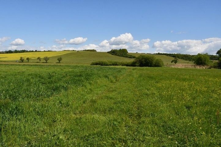 Začíná stavba úseku greenway z Malesic do Města Touškova. Fotografie: M. Klas  250605_cyklostezka_mze_04