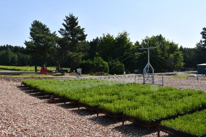 250702_Mostova_zavlaha_3