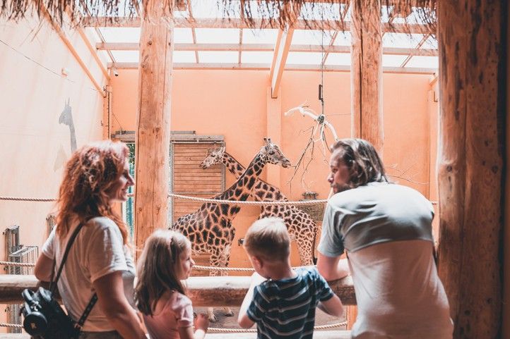 250702_Zoo_Turismus_2