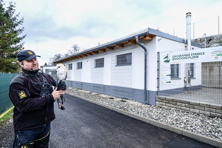 260210_Záchranná_Stanice_Živočichů_04