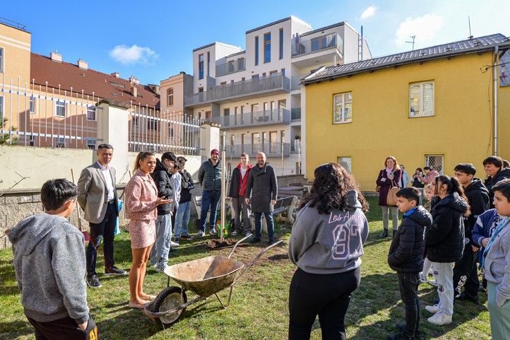 260330_Sezeni_stromu_2