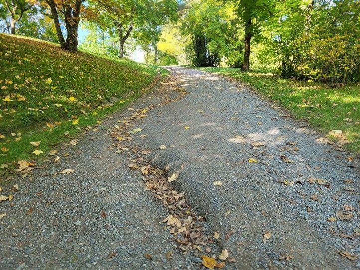 260429_Borsky_park_pred_1