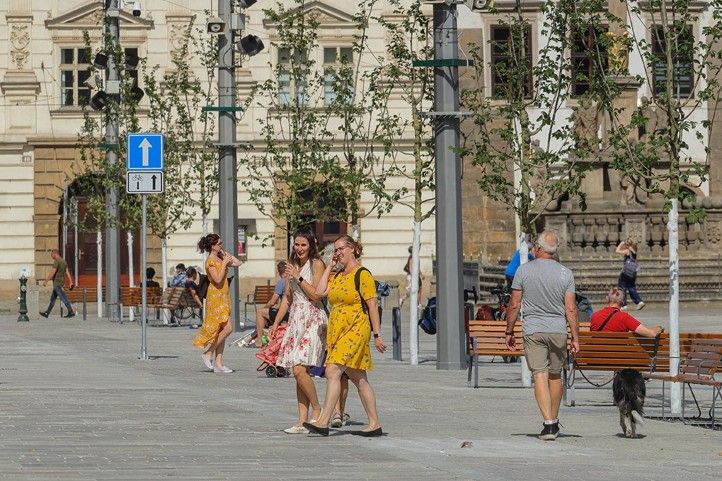 260915_Namesti_Republiky_stromy_1