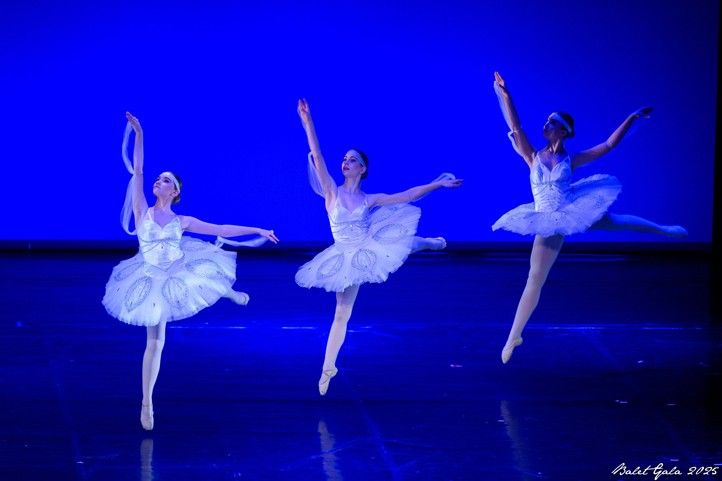 Zdroj fotografií: archiv pořadatele 261022_Baletgala_1